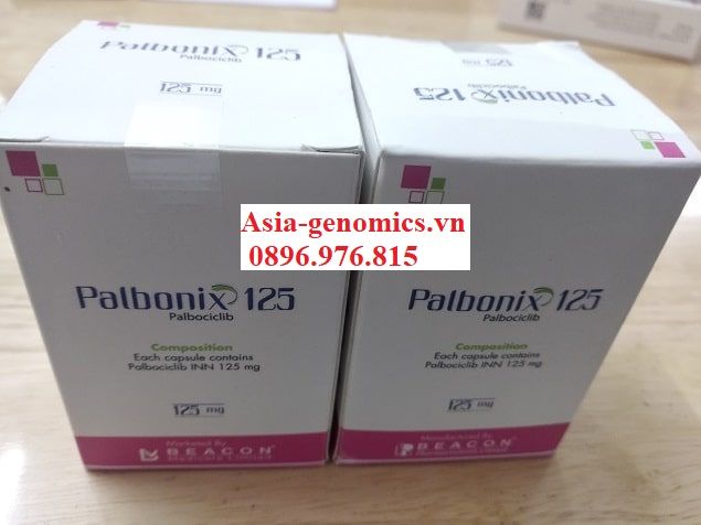 Thuốc Palbonix 125 thuốc điều trị ung thư vú, Hộp 21 viên