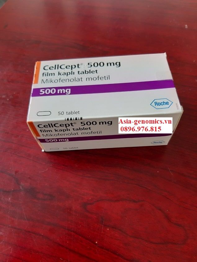 Thuốc Cellcept 500mg dự phòng thải ghép cấp