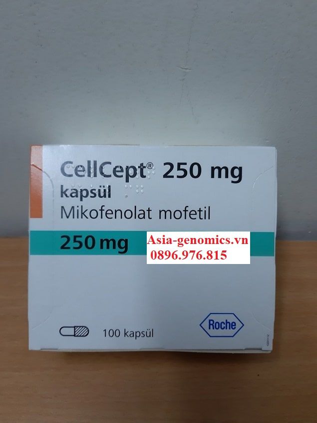 Thuốc Cellcept 250mg dự phòng thải ghép
