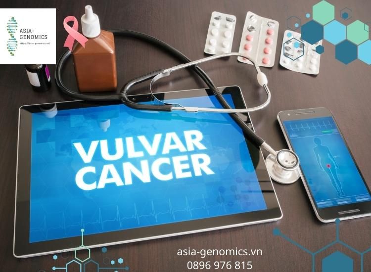 Tổng hợp thuốc và hoạt chất điều trị Ung thư Âm Hộ