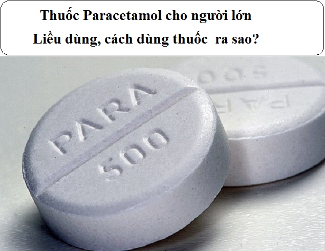 thuoc paracetamol cho nguoi lon lieu dung cach dung thuoc ra sao