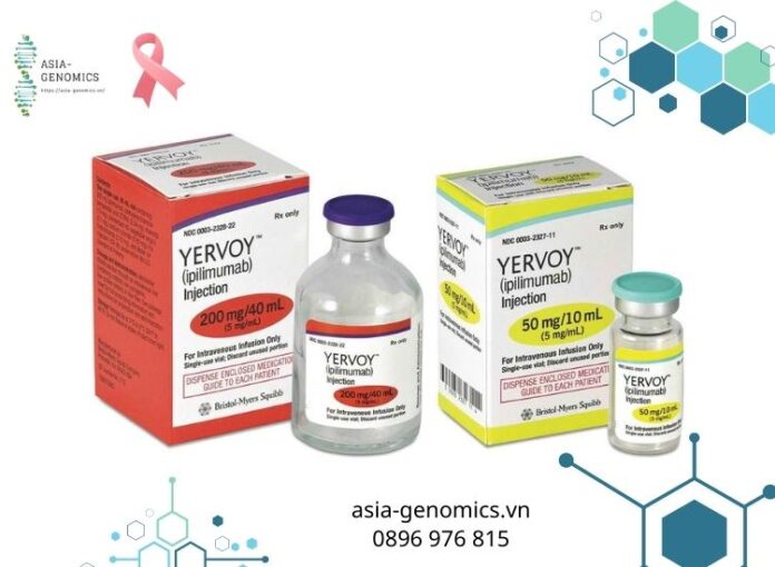 Yervoy Thuốc mới điều trị ung thư tế bào hắc tố